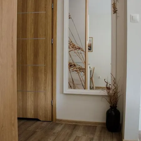 Stylowe Apartament Charzykowy